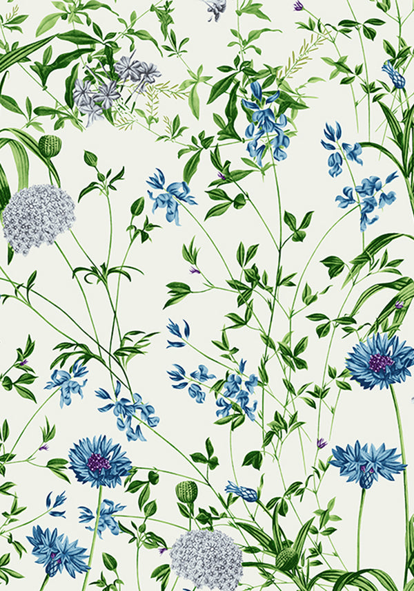 Hempstead Flower_Ivory Blue_Cotton Musola_38y