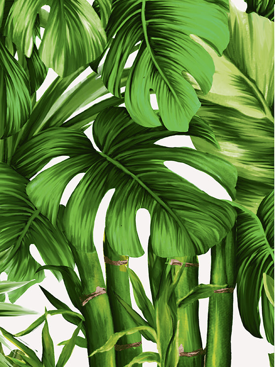 Honolulu Palm_White Light Green_CS_15y