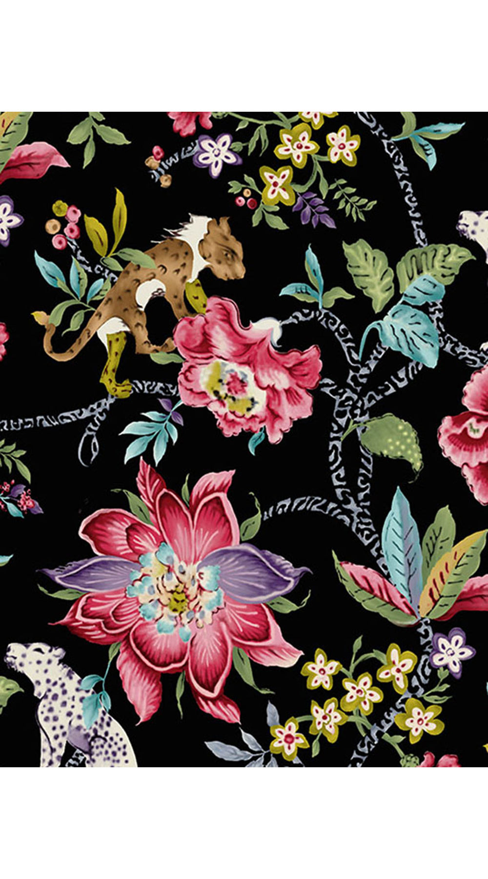 Aster Dress Shirt Collar 3/4 Sleeve Midi Length Cotton Musola (Leopard Toile Multi)