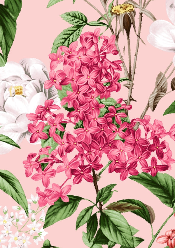 Lilac Heaven Pastel_Soft Coral_CS_37y