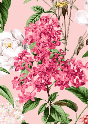 Lilac Heaven Pastel_Soft Coral_CS_37y