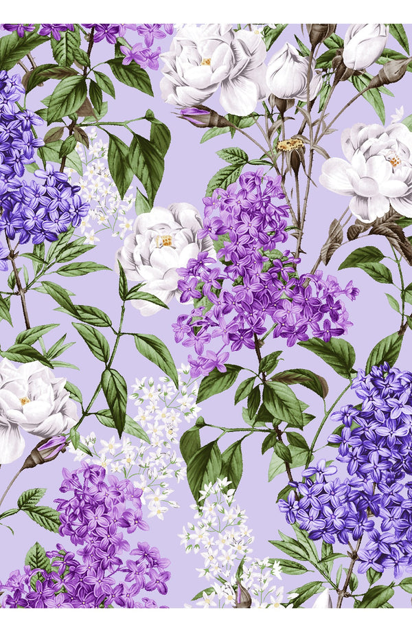 Aster Dress Shirt Collar 3/4 Sleeve Midi Length Cotton Musola (Lilac Heaven Pastel)