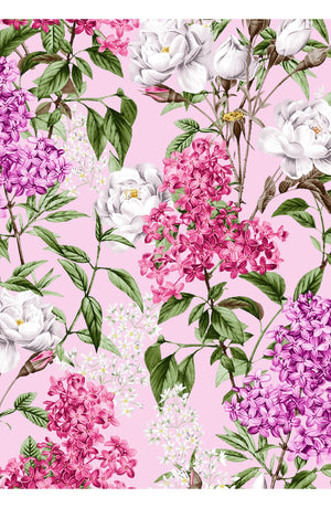 Aster Dress Shirt Collar 3/4 Sleeve Midi Length Cotton Musola (Lilac Heaven Pastel)