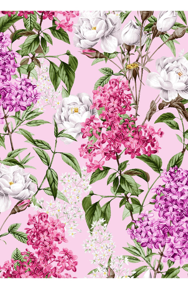 Aster Dress Shirt Collar 3/4 Sleeve Midi Length Cotton Musola (Lilac Heaven Pastel)