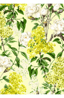 Audrey Dress #2 Shirt Collar 3/4 Sleeve Midi Length Cotton Stretch (Lilac Heaven Pastel)