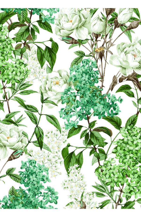 Audrey Dress #4 Shirt Collar 3/4 Sleeve Long Length Cotton Stretch (Lilac Heaven White)