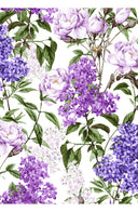 Audrey Dress #4 Shirt Collar 3/4 Sleeve Long Length Cotton Stretch (Lilac Heaven White)