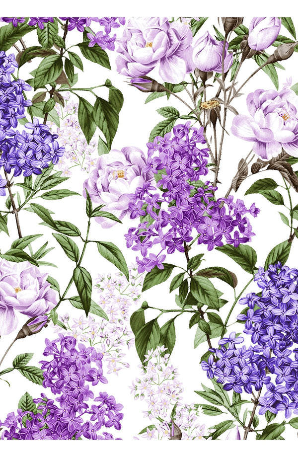 Audrey Dress #4 Shirt Collar 3/4 Sleeve Long Length Cotton Stretch (Lilac Heaven White)