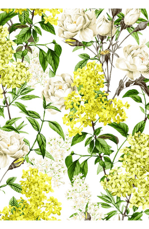 Audrey Dress #4 Shirt Collar 3/4 Sleeve Long Length Cotton Stretch (Lilac Heaven White)