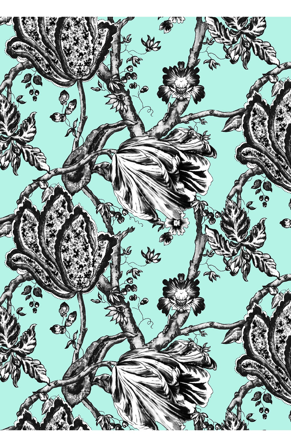 Aster Dress Shirt Collar 3/4 Sleeve Midi Length Cotton Musola (Lillie Toile Black)