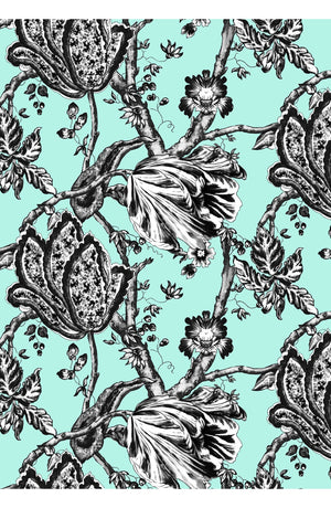 Audrey Dress #2 Shirt Collar 3/4 Sleeve Midi Length Cotton Stretch (Lillie Toile Black)