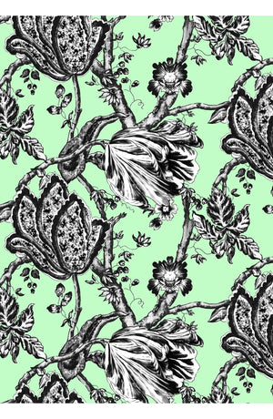 Audrey Dress #2 Shirt Collar 3/4 Sleeve Midi Length Cotton Stretch (Lillie Toile Black)