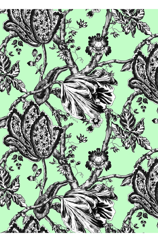 Audrey Dress #2 Shirt Collar 3/4 Sleeve Midi Length Cotton Stretch (Lillie Toile Black)