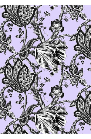 Audrey Dress #2 Shirt Collar 3/4 Sleeve Midi Length Cotton Stretch (Lillie Toile Black)