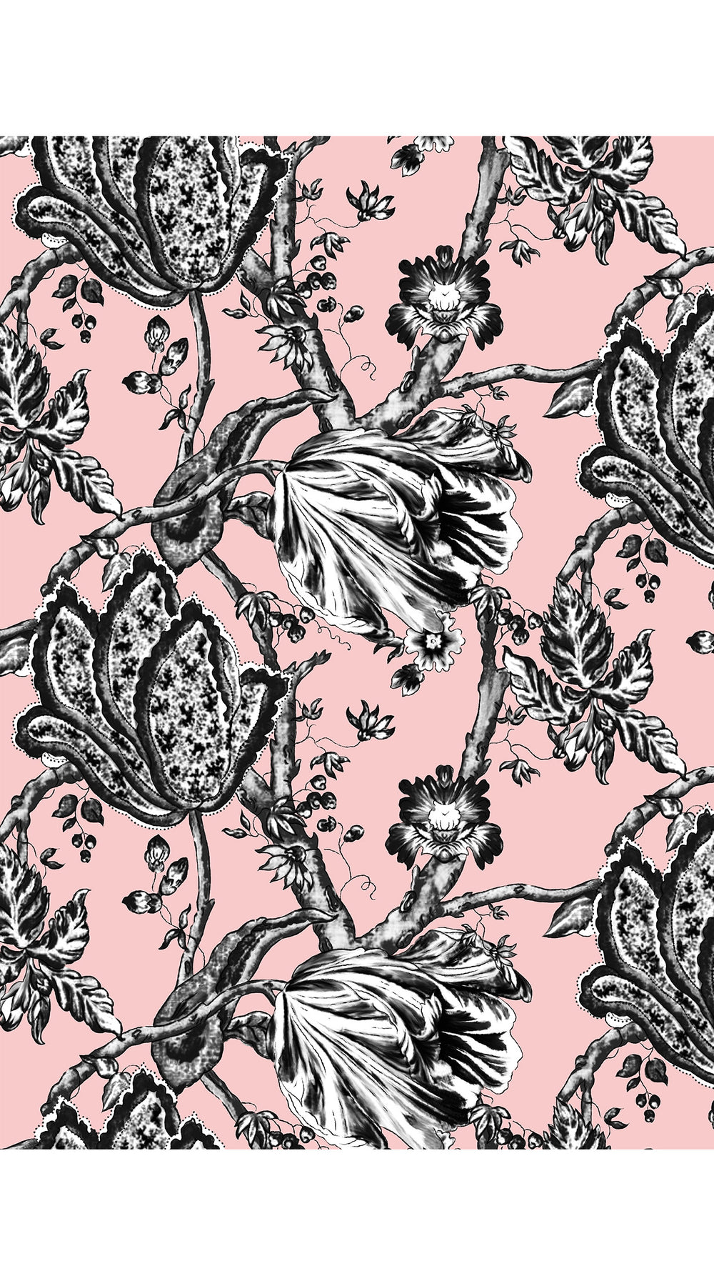 Audrey Dress #1 Shirt Collar 3/4 Sleeve Midi Length Cotton Stretch (Lillie Toile Black)