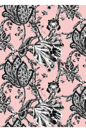 Audrey Dress #2 Shirt Collar 3/4 Sleeve Midi Length Cotton Stretch (Lillie Toile Black)