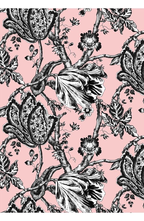 Audrey Dress #2 Shirt Collar 3/4 Sleeve Midi Length Cotton Stretch (Lillie Toile Black)