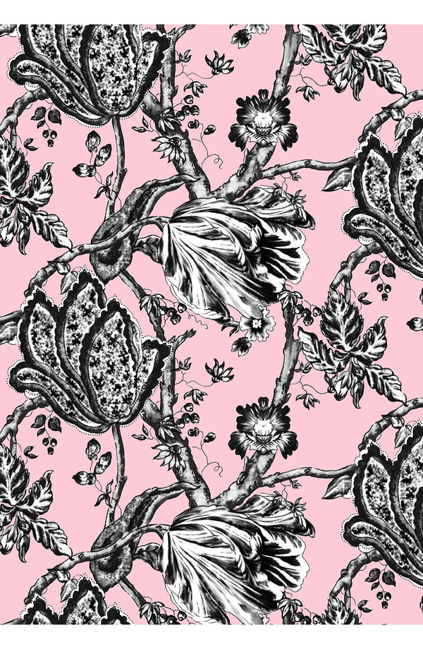 Audrey Dress #2 Shirt Collar 3/4 Sleeve Midi Length Cotton Stretch (Lillie Toile Black)