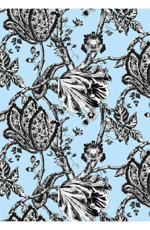 Audrey Dress #2 Shirt Collar 3/4 Sleeve Midi Length Cotton Stretch (Lillie Toile Black)