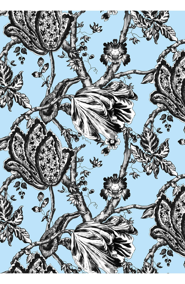 Audrey Dress #2 Shirt Collar 3/4 Sleeve Midi Length Cotton Stretch (Lillie Toile Black)