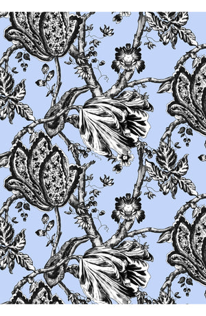 Audrey Dress #2 Shirt Collar 3/4 Sleeve Midi Length Cotton Stretch (Lillie Toile Black)