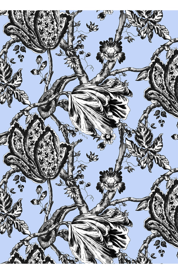 Audrey Dress #2 Shirt Collar 3/4 Sleeve Midi Length Cotton Stretch (Lillie Toile Black)