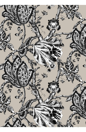 Aster Dress Shirt Collar 3/4 Sleeve Midi Length Cotton Musola (Lillie Toile Black)