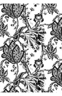 Audrey Dress #2 Shirt Collar 3/4 Sleeve Midi Length Cotton Stretch (Lillie Toile Black)