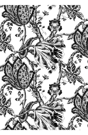 Audrey Dress #2 Shirt Collar 3/4 Sleeve Midi Length Cotton Stretch (Lillie Toile Black)