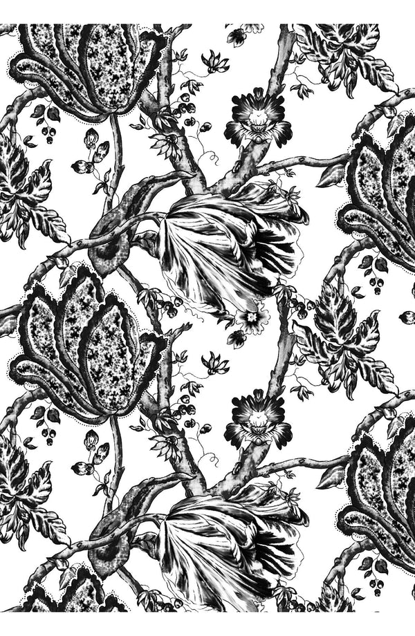 Audrey Dress #2 Shirt Collar 3/4 Sleeve Midi Length Cotton Stretch (Lillie Toile Black)