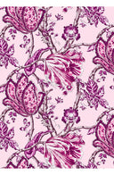 Aster Dress Shirt Collar 3/4 Sleeve Midi Length Cotton Musola (Lillie Toile Pastel)