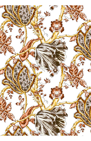 Aster Dress Shirt Collar 3/4 Sleeve Midi Plus Length Cotton Musola (Lillie Toile White)