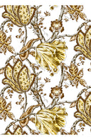 Aster Dress Shirt Collar 3/4 Sleeve Midi Plus Length Cotton Musola (Lillie Toile White)