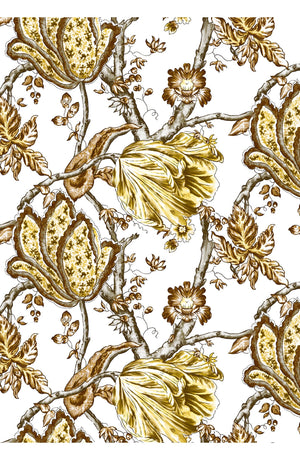 Aster Dress Shirt Collar 3/4 Sleeve Midi Plus Length Cotton Musola (Lillie Toile White)