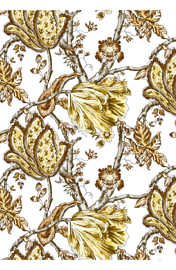 Aster Dress Shirt Collar 3/4 Sleeve Midi Plus Length Cotton Musola (Lillie Toile White)