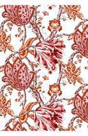 Aster Dress Shirt Collar 3/4 Sleeve Midi Plus Length Cotton Musola (Lillie Toile White)