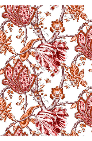 Aster Dress Shirt Collar 3/4 Sleeve Midi Plus Length Cotton Musola (Lillie Toile White)