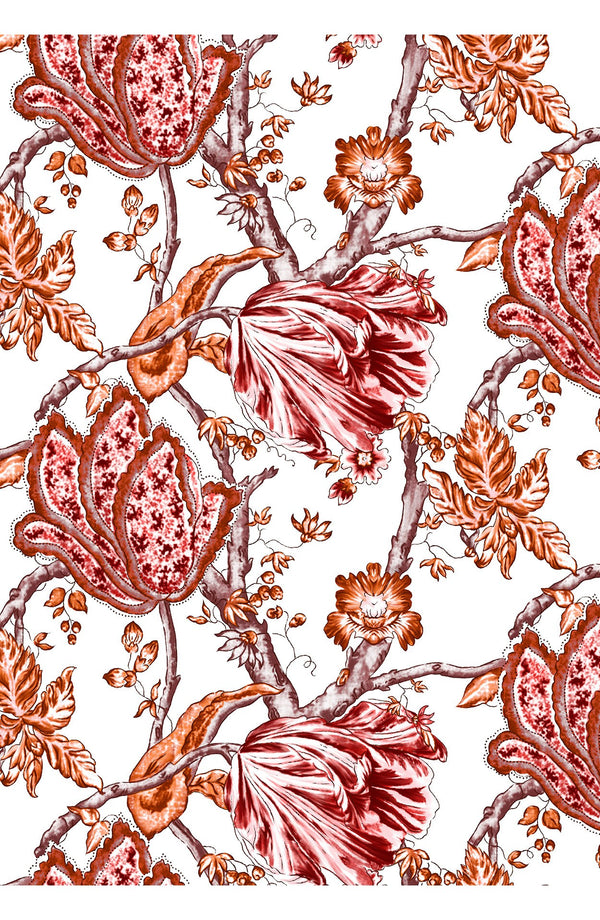 Aster Dress Shirt Collar 3/4 Sleeve Midi Plus Length Cotton Musola (Lillie Toile White)