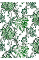 Aster Dress Shirt Collar 3/4 Sleeve Midi Plus Length Cotton Musola (Lillie Toile White)