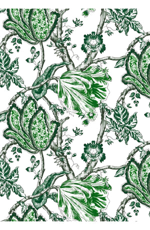 Aster Dress Shirt Collar 3/4 Sleeve Midi Plus Length Cotton Musola (Lillie Toile White)