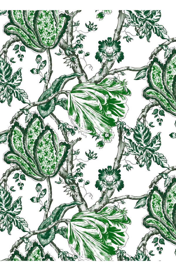 Aster Dress Shirt Collar 3/4 Sleeve Midi Plus Length Cotton Musola (Lillie Toile White)