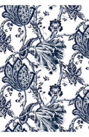 Aster Dress Shirt Collar 3/4 Sleeve Midi Plus Length Cotton Musola (Lillie Toile White)