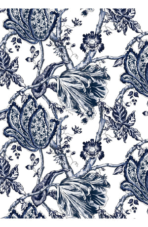 Aster Dress Shirt Collar 3/4 Sleeve Midi Plus Length Cotton Musola (Lillie Toile White)