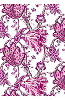 Aster Dress Shirt Collar 3/4 Sleeve Midi Plus Length Cotton Musola (Lillie Toile White)