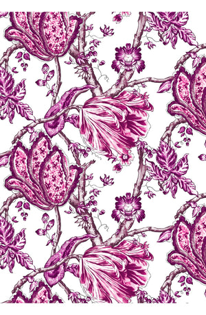 Aster Dress Shirt Collar 3/4 Sleeve Midi Plus Length Cotton Musola (Lillie Toile White)