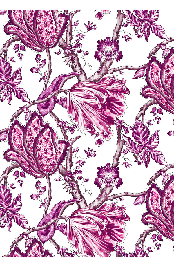 Aster Dress Shirt Collar 3/4 Sleeve Midi Plus Length Cotton Musola (Lillie Toile White)