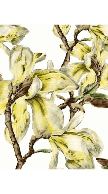 Aster Dress U Neck Cap Sleeve Midi Length Cotton Musola (Magnolia Blossom White)
