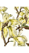 Audrey Dress #4 Shirt Collar 3/4 Sleeve Long Length Cotton Musola (Magnolia Blossom White)