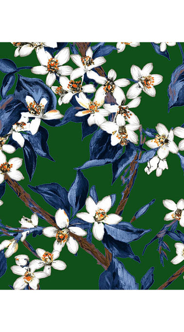 Audrey Dress #4 Shirt Collar 3/4 Sleeve Midi Length Cotton Musola (Magnolia New)