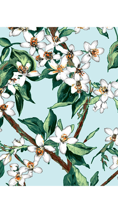 Aster Dress Shirt Collar 3/4 Sleeve Midi Length Cotton Musola (Magnolia New)